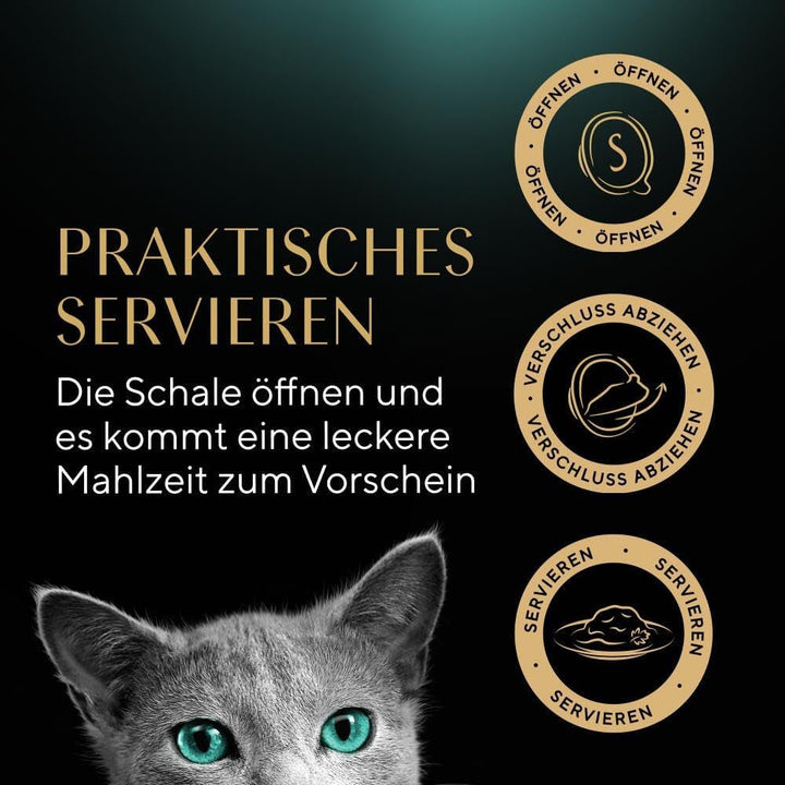 Sheba Filets - Cea mai fină hrană umedă pentru pisici în bol - Pui cu creveți - 16 X 60G