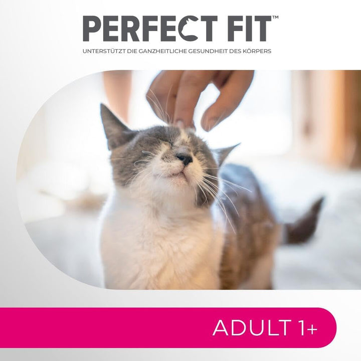 Perfect Fit Adult 1+ Wet Cat Food Selection With Salmon, Ocean Fish, Beef And Chicken, 48 plicuri, 12X85G (pachet de 4) - Hrană umedă premium pentru pisici, pentru pisici adulte de peste 1 an