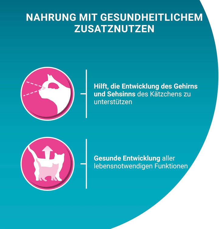 PURINA ONE Junior somon și morcovi