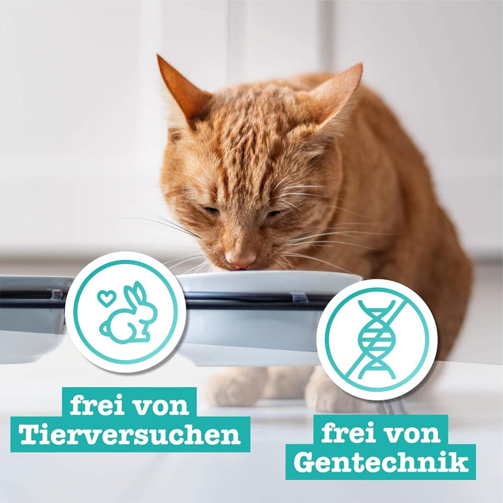 Catz Finefood N° 21 Game & Redfish Delicatessen Hrană umedă pentru pisici, rafinată cu cartofi și afine, cutii de 6 X 800G