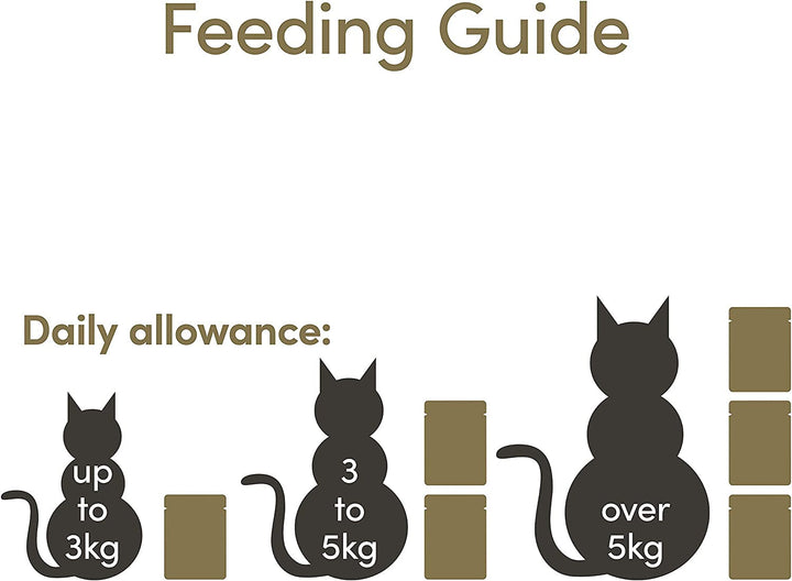 Applaws Premium Natural Cat Food Wet, Tuna Fillet With Anchovies in Broth 70G portion bag (12X70G) + Premium Natural Cat Food Wet, 70G portion bag (12X70G)