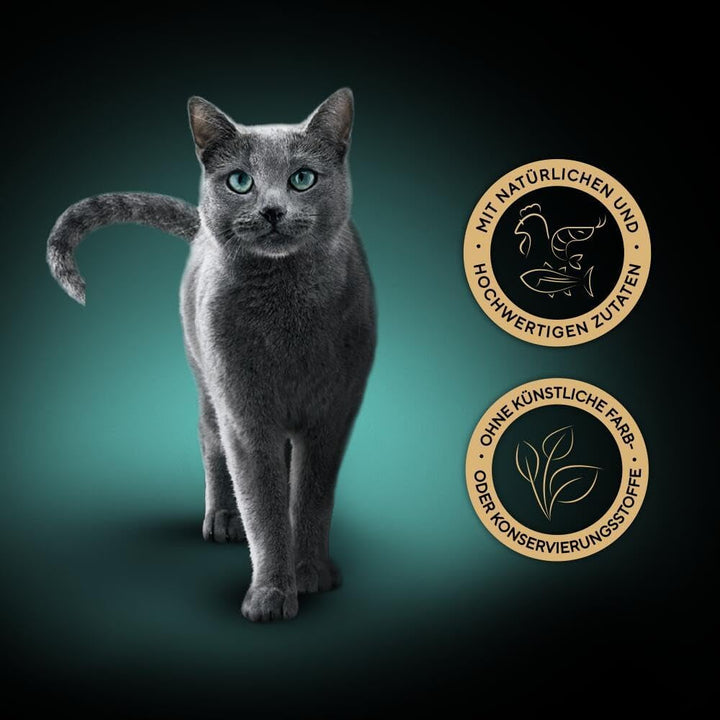 Sheba Filets - Cea mai fină hrană umedă pentru pisici în bol - Pui cu creveți - 16 X 60G