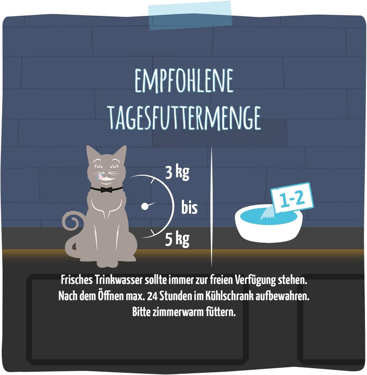 Mjamjam - Băutură delicioasă pentru pisici - Cocteiluri - File de somon jumulit, 20Pack (20X40), fără cereale