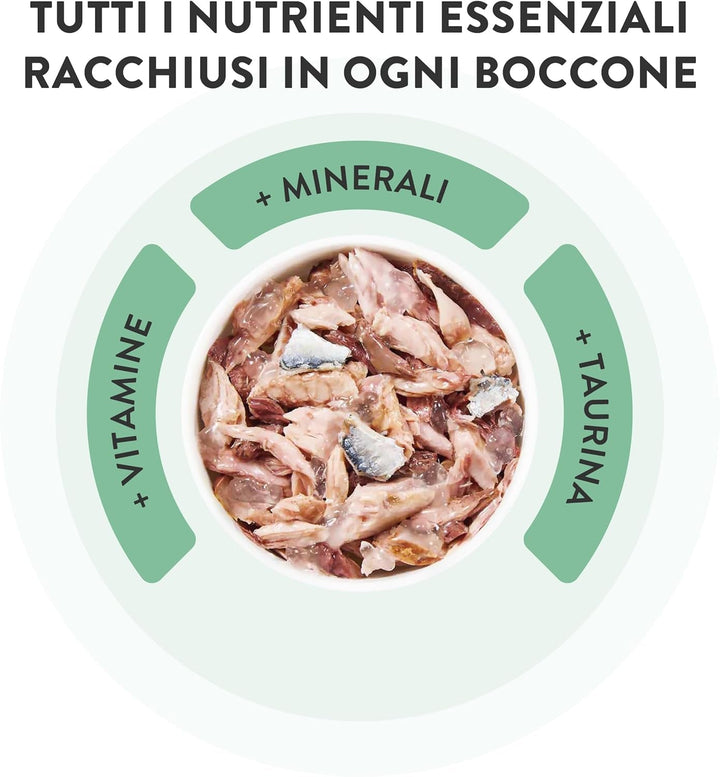 , File de pui cu șuncă în jeleu, Hrană umedă complementară pentru pisici, Rețetă originală, 100% naturală, 12 cutii la 70 G