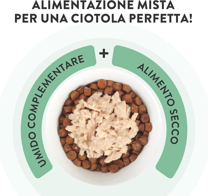 , File de pui cu șuncă în jeleu, Hrană umedă complementară pentru pisici, Rețetă originală, 100% naturală, 12 pungi a câte 70 g