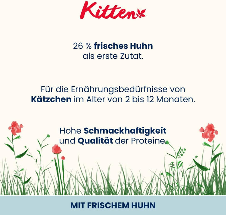 Almo Nature Holistic Kitten With Chicken And Rice- hrană uscată pentru pisoi, toate rasele 2kg