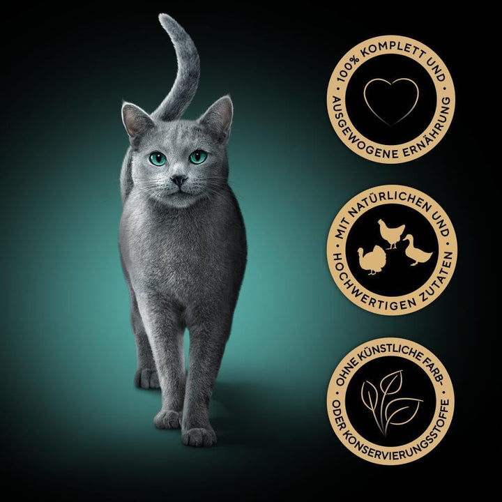 Sheba portion bag wet cat food multipack Fresh & Fine în jeleu cu curcan și pui, 6X6X50G - Hrană pentru pisici de înaltă calitate în jeleu cu curcan și pui