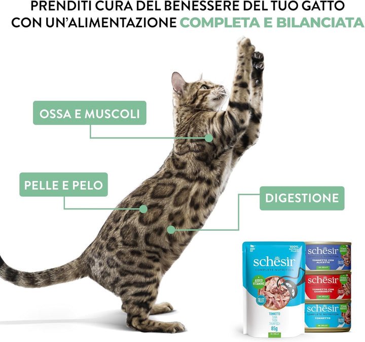 , Ton cu Alicette în bulion, hrană umedă completă pentru pisici, în conservă, cu vitamine adăugate, 100% naturală, 6 X 85 G