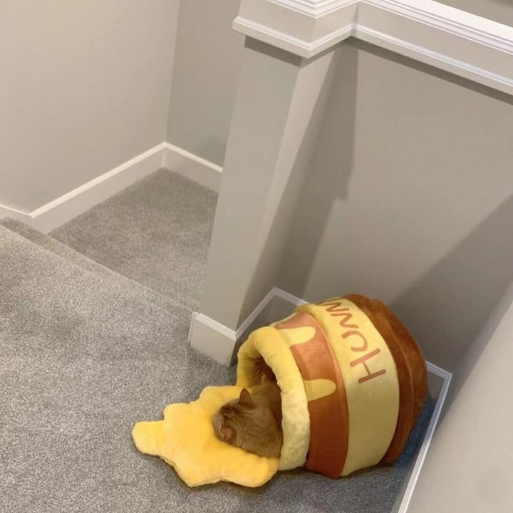 Pat pentru pisici, peșteră pentru pisici, pat de pluș pentru pisici, pat de pluș pentru pisici, cuib de pisică cu miere, pentru pisici mici