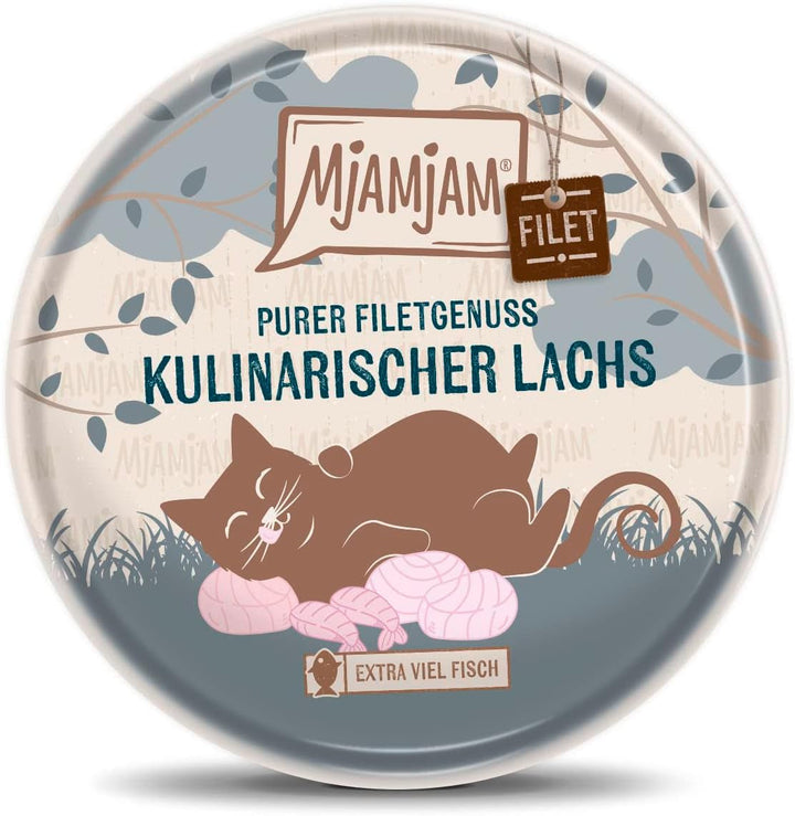 Mjamjam - Hrană umedă premium pentru pisici - Tender Fillet Of Salmon 80G, 16 pachete (16 X 80 G), naturală cu multă carne