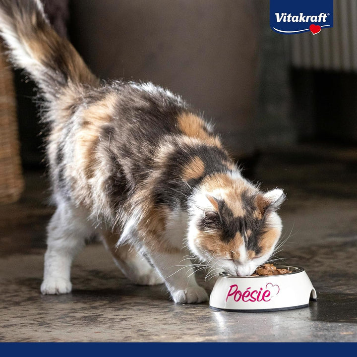 Vitakraft Poésie Délice, Junior, hrană umedă pentru pisici, hrană umedă în sos, cu curcan, preambalată, pentru pisici tinere, fără adaos de zahăr și cereale (23X 85G)