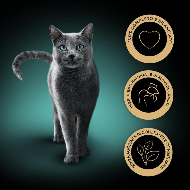 Sheba Sauce Collection in Sauce, hrană pentru pisici cu vițel în sos fraged, 85 G - 22 boluri