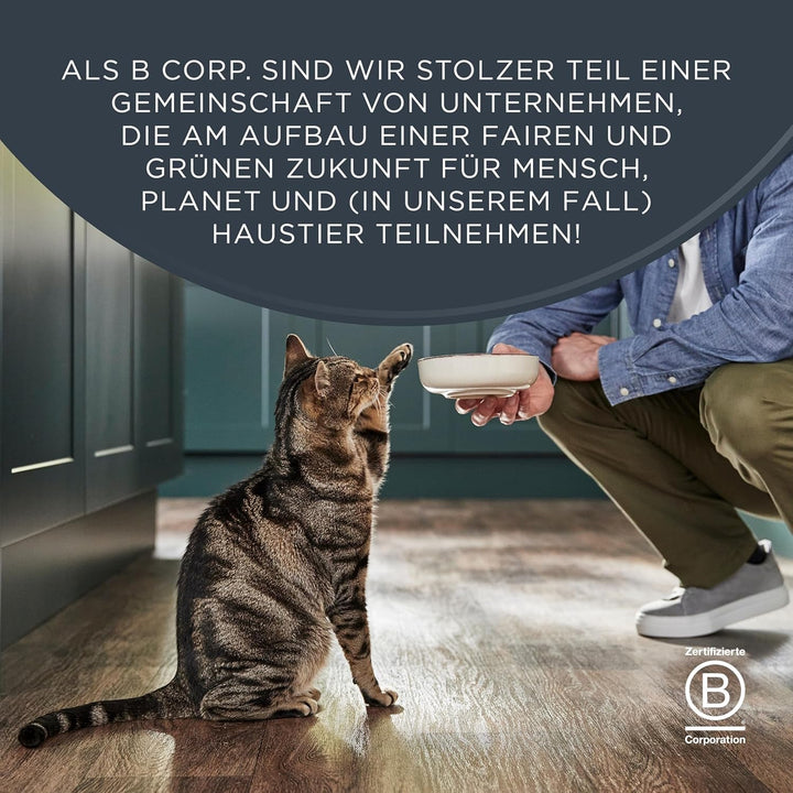 Encore Premium 100% Natural Hrană umedă la conservă pentru pisici cu sardine și file de ton - pachet de 16 X 70G