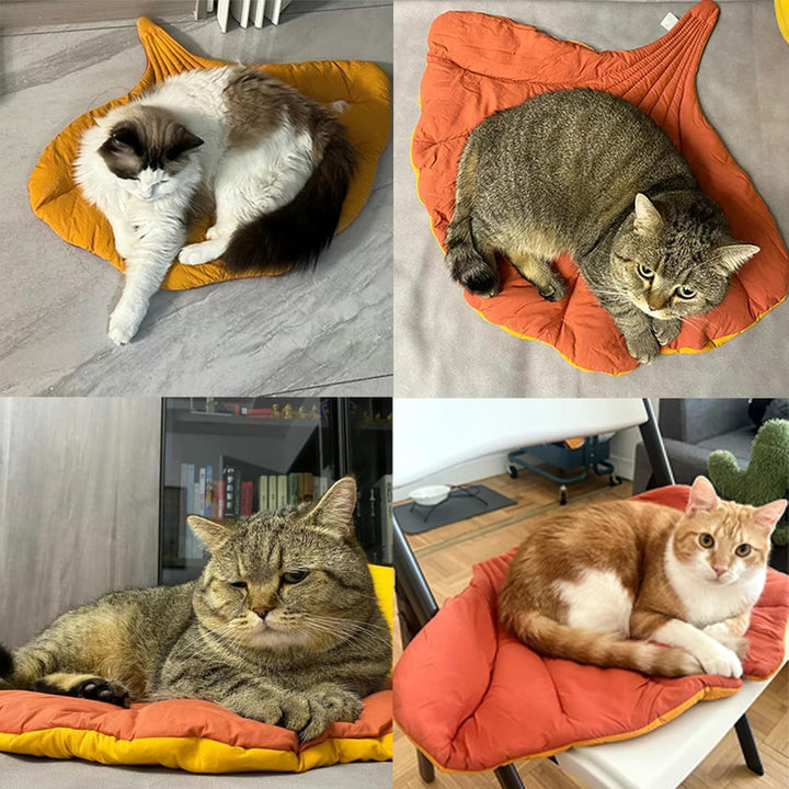 7WUNDERBAR Pat pentru pisici Pernă pentru pisici Moale Lavabilă, Loc de dormit pentru pisici Coș pentru pisici Canapea pentru pisici Pătură pentru pisici Pat pentru câini mici Pat pentru animale de companie (Frunze de Ginkgo)