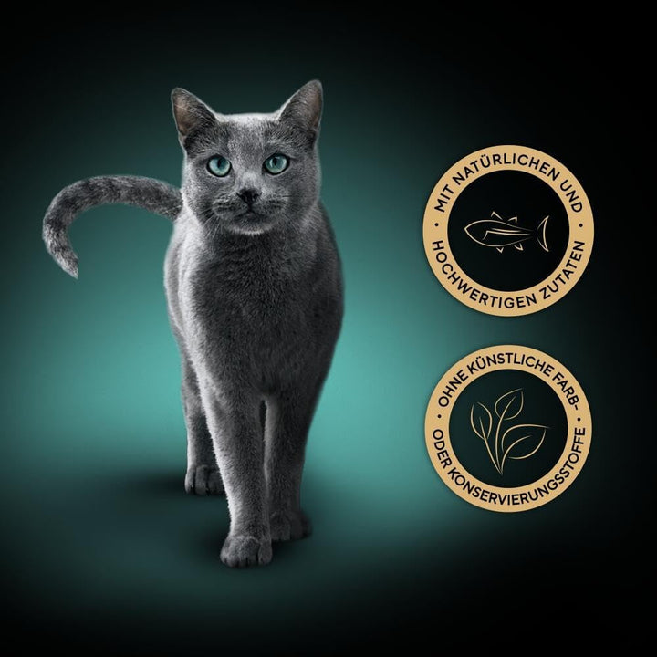 Sheba Multipack Soup - Hrană umedă pentru pisici într-o pungă porționată - Ton - 40 X 40G