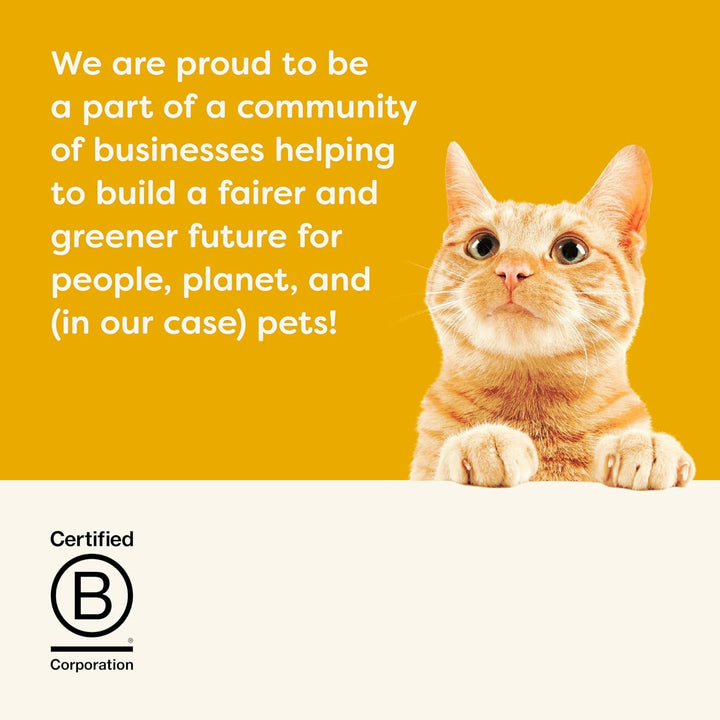 Applaws 100% Natural Premium hrană umedă pentru pisici, Chicken Choice Multipack în bulion - pachet cu 24 de cutii de 70G X