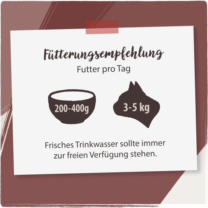 Venandi Animal - Hrană umedă premium pentru pisici - Beef as monoprotein 12-pack (12 X 125 G), fără cereale, monoproteină