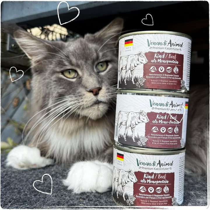Venandi Animal - Hrană umedă premium pentru pisici - Beef as monoprotein 12-pack (12 X 125 G), fără cereale, monoproteină