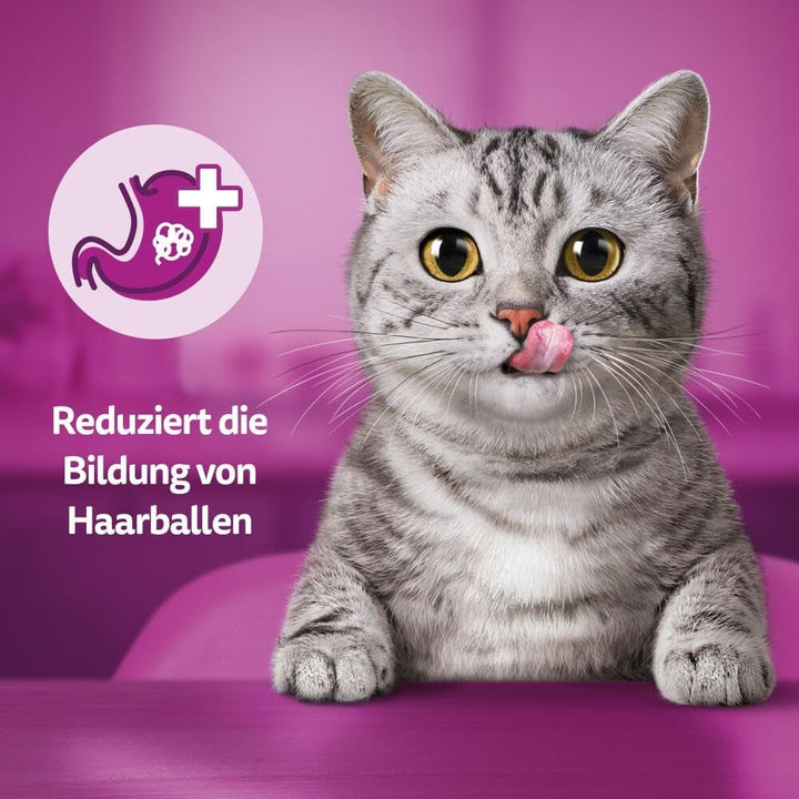 WHISKAS Anti-Hairball Cat Snacks 6 X 50G - Snacks-uri delicioase împotriva bilelor de păr pentru o blană sănătoasă