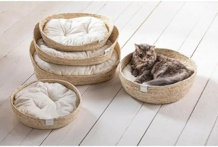 Pat de dormit Dehner Premium Lovely Cuddle, somn bun, Ø 38 cm, înălțime 13 cm, material natural/pluș, alb/bej