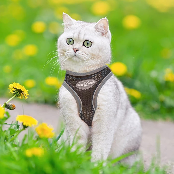 Ham pentru pisici cu lesă rezistentă la evadare, ham reglabil pentru pisici, ham pentru pisici cu căptușeală moale și plasă respirabilă cu reflectorizant pentru antrenament în aer liber (negru XXS)