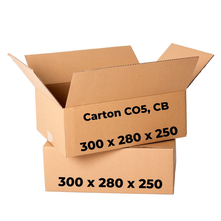 Set 20 cutii carton CO5, CB, 300 x 280 x 250 Cutii ambalare Nati Shop